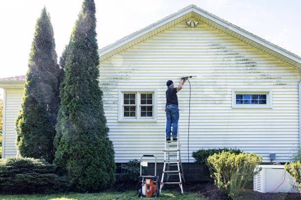 Best Solar Panel Cleaning  in Burnet, TX